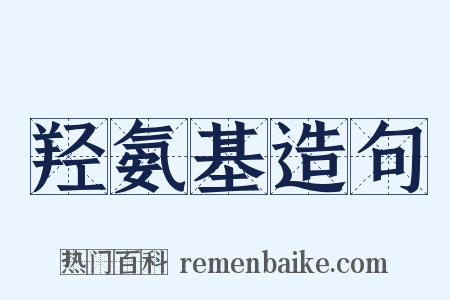 羟氨基造句是什么意思的图片
